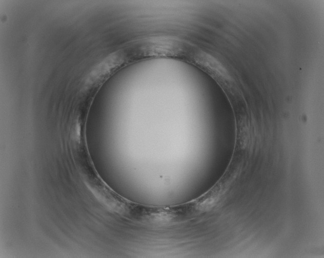 X0000063520310200601201439