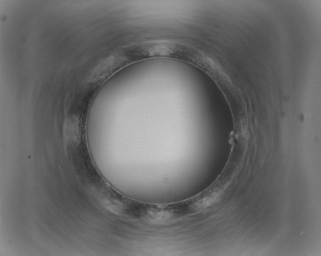 X0000063520311200601201439