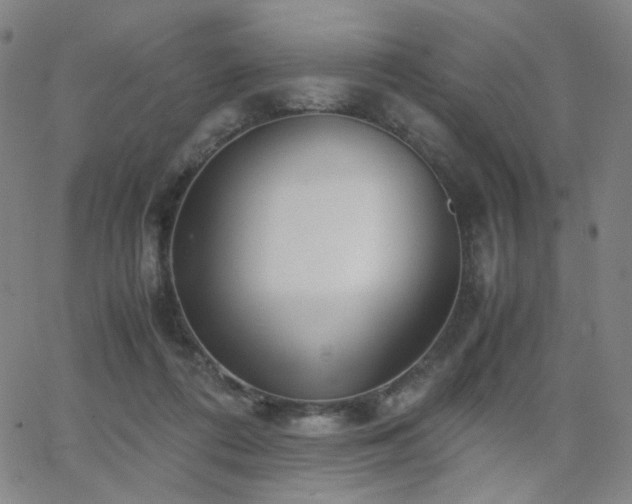 X0000063520312200601201439