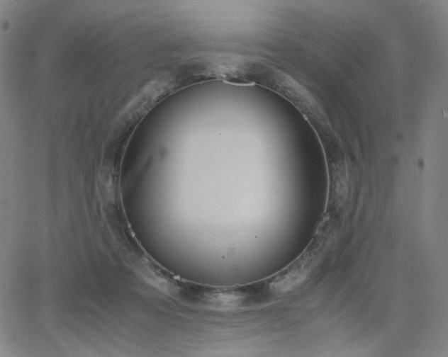 X0000063520313200601201439