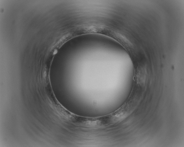 X0000063520314200601201439