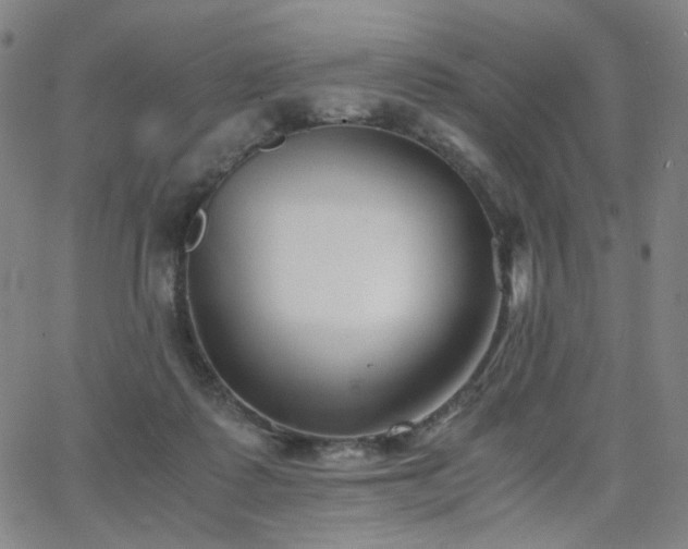 X0000063520315200601201439