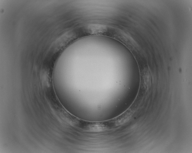 X0000063520316200601201439