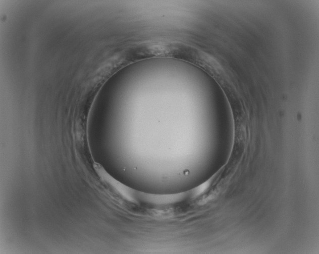 X0000063520317200601201439