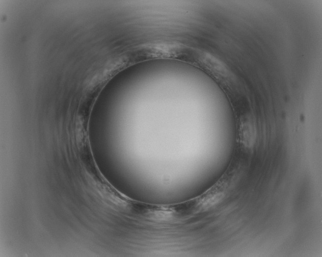 X0000063520318200601201439