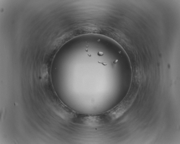 X0000063520320200601201439