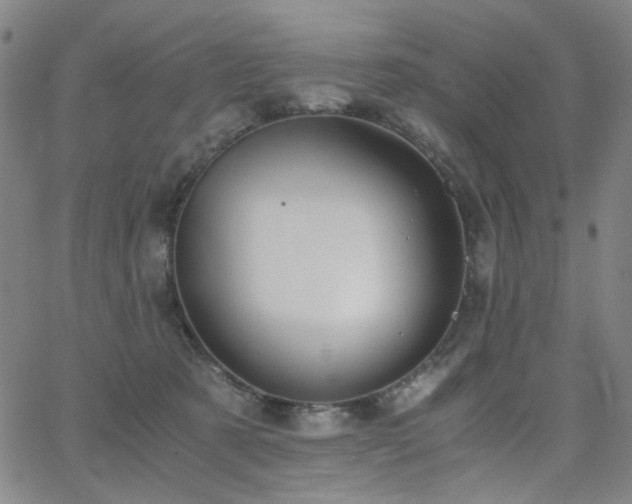 X0000063520321200601201439