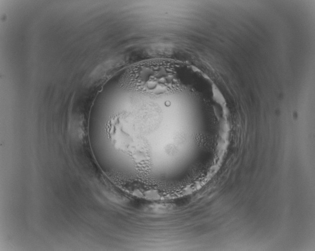 X0000063520323200601201439