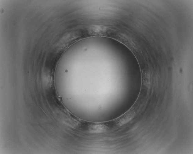 X0000063520324200601201439