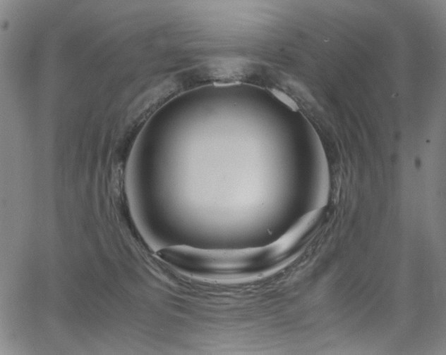 X0000063520325200601201439