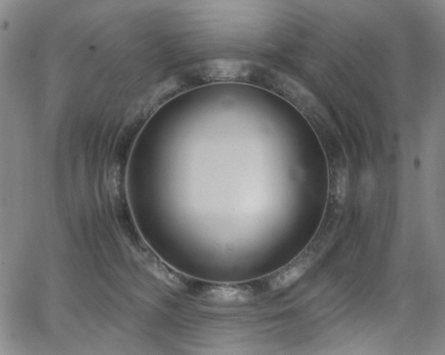 X0000063520326200601201439