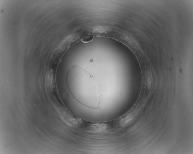 X0000063520328200601201439