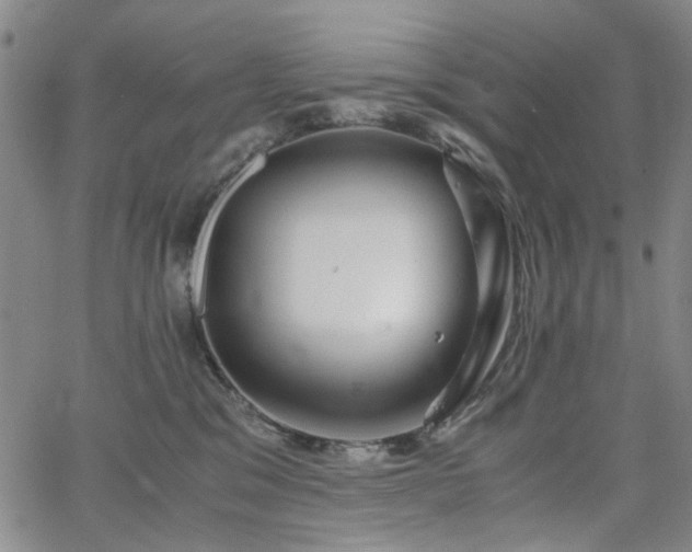 X0000063520329200601201439