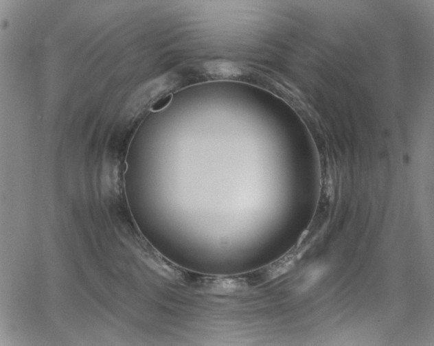 X0000063520330200601201439