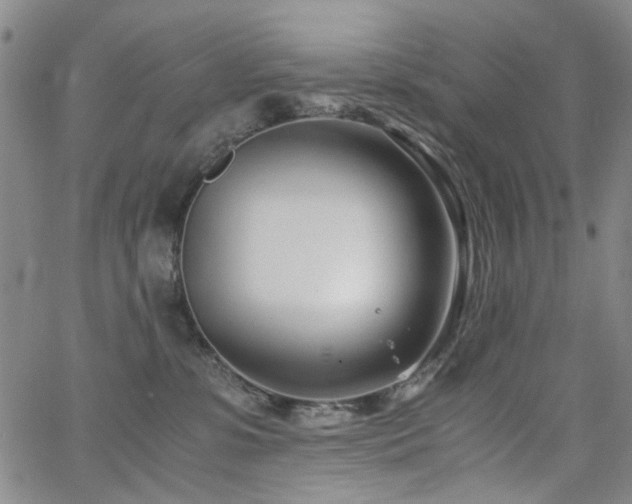 X0000063520331200601201439