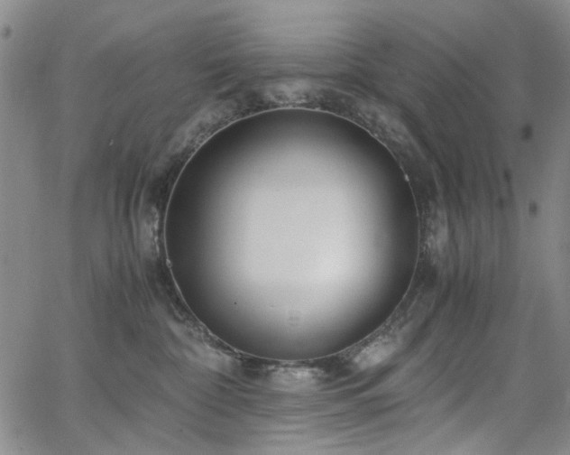 X0000063520332200601201439