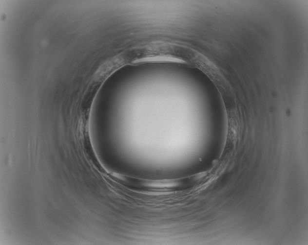 X0000063520333200601201439