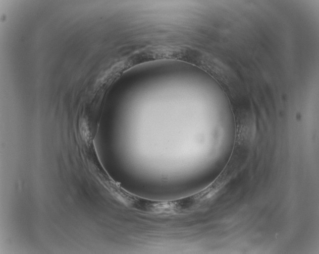 X0000063520335200601201439