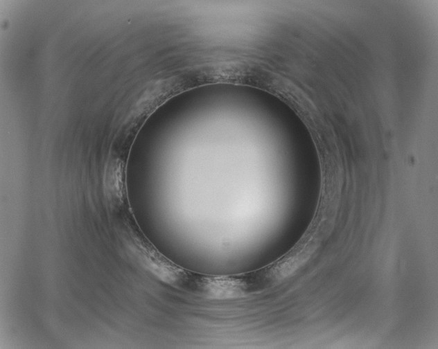 X0000063520336200601201439