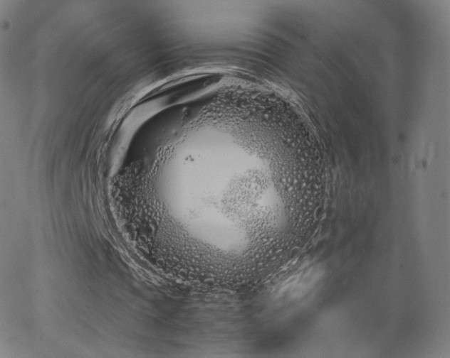 X0000063520337200601201438