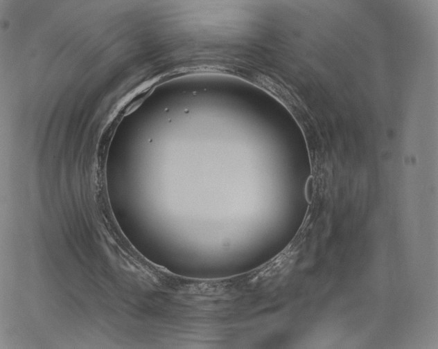 X0000063520338200601201438