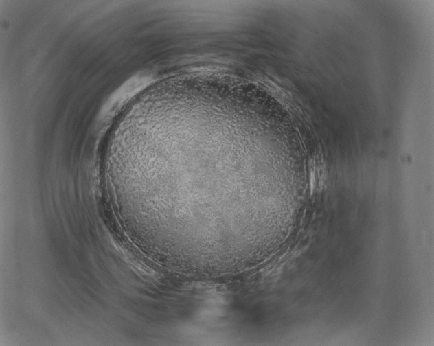 X0000063520339200601201438