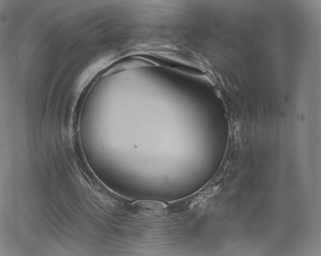 X0000063520340200601201438