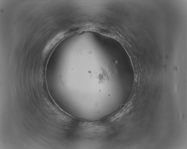 X0000063520341200601201438