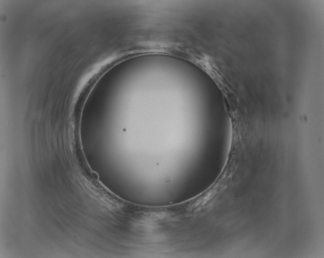 X0000063520342200601201438