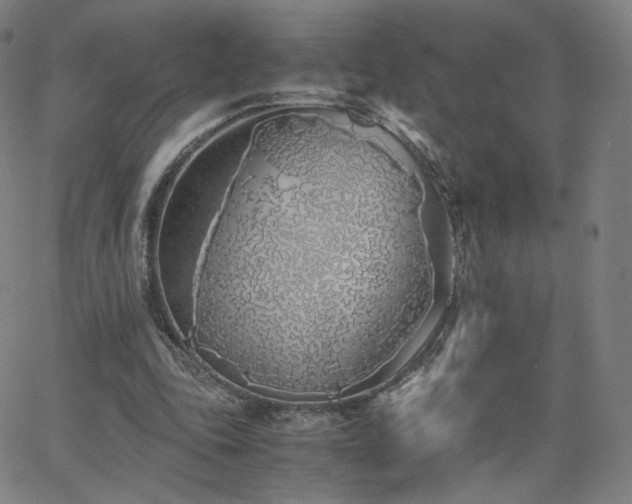 X0000063520343200601201438