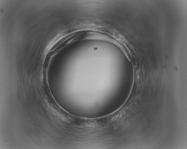 X0000063520344200601201438