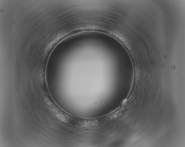 X0000063520345200601201438