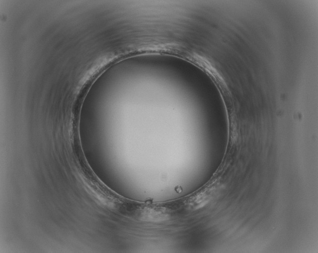 X0000063520346200601201438