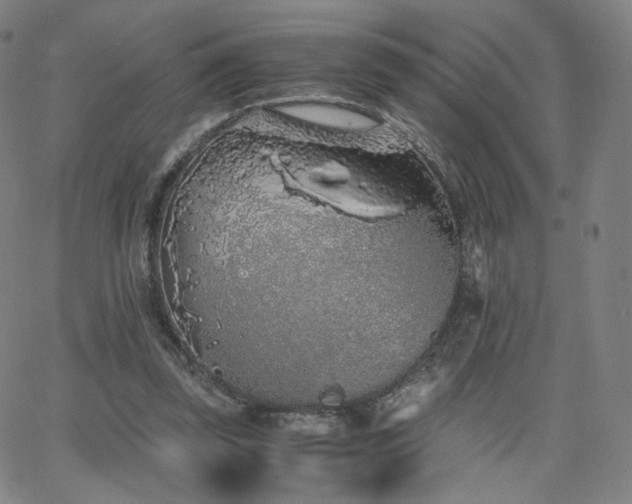 X0000063520347200601201438