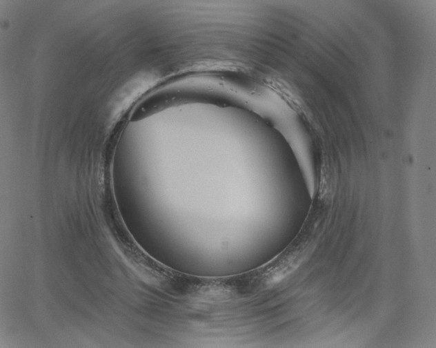 X0000063520348200601201438