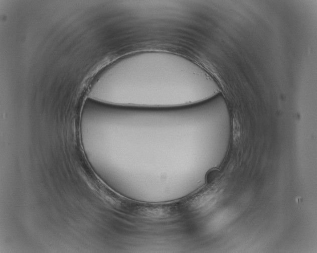 X0000063520349200601201438