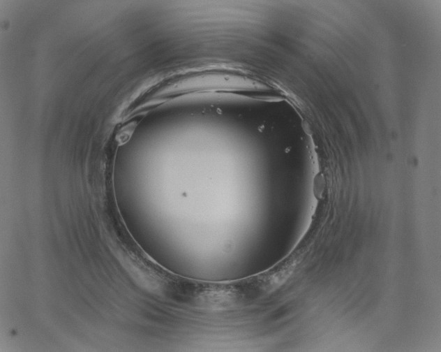 X0000063520350200601201438