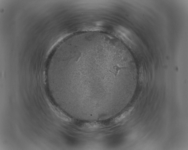 X0000063520351200601201439