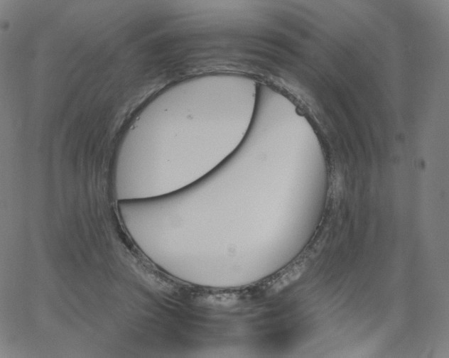 X0000063520353200601201439