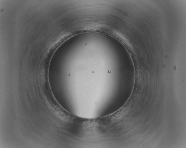 X0000063520354200601201439