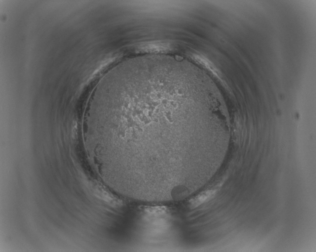 X0000063520355200601201439