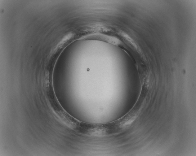 X0000063520356200601201439