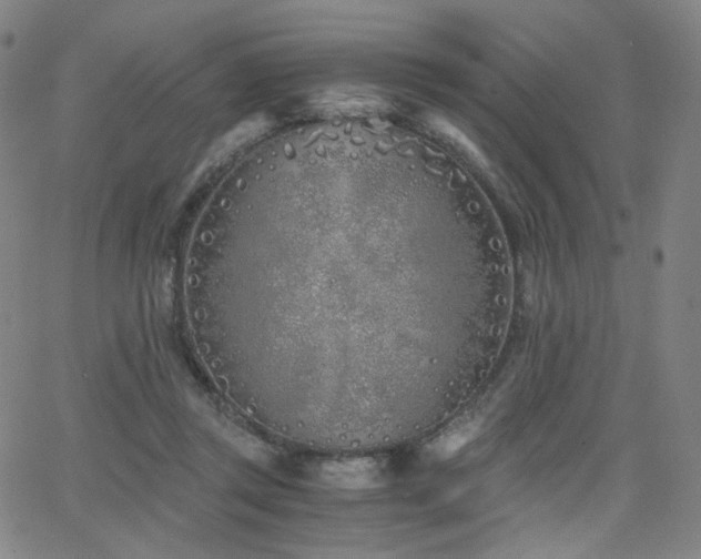 X0000063520357200601201439