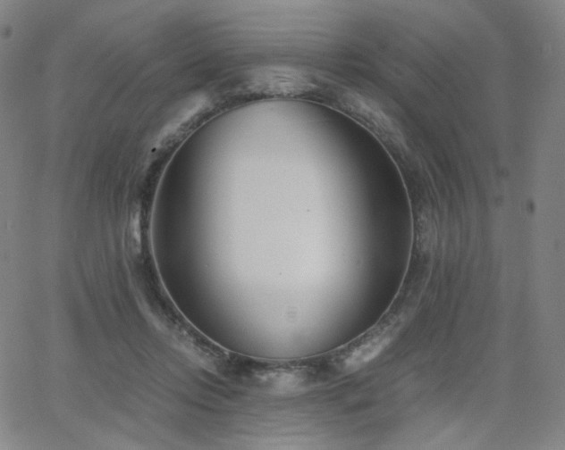 X0000063520358200601201439