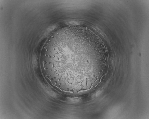 X0000063520359200601201439