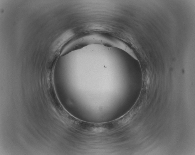 X0000063520360200601201439