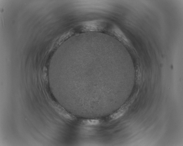 X0000063520361200601201439