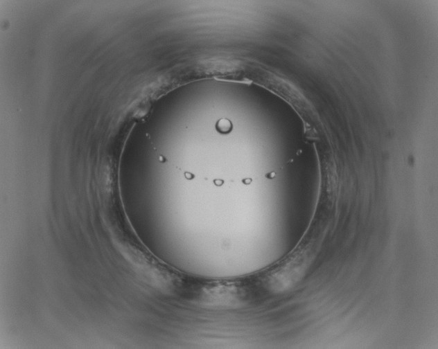 X0000063520362200601201439