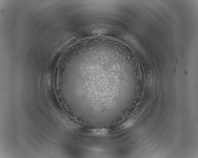 X0000063520363200601201439