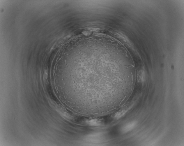 X0000063520365200601201439